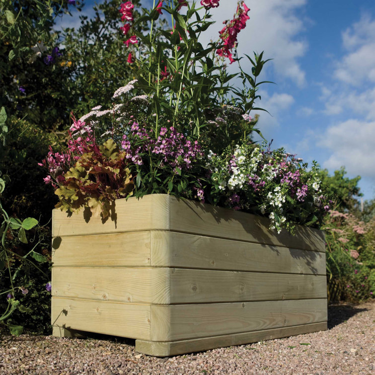 Freeport Park Wooden Planter Box & Reviews Wayfair.co.uk